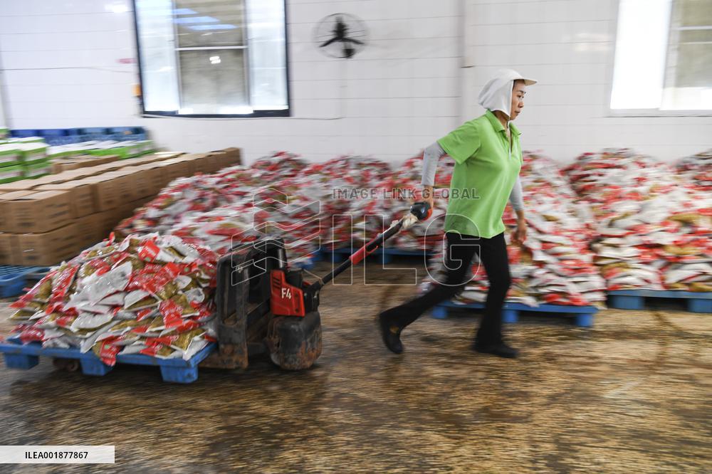 CHINA-CHONGQING-CHINESE PICKLE-PRODUCTION(CN)