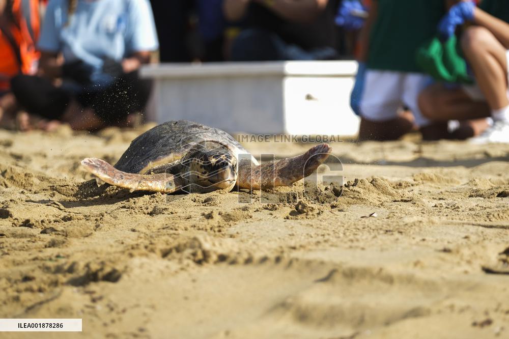 MALTA-MANIKATA-TURTLES-RELEASE