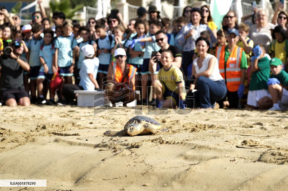 MALTA-MANIKATA-TURTLES-RELEASE