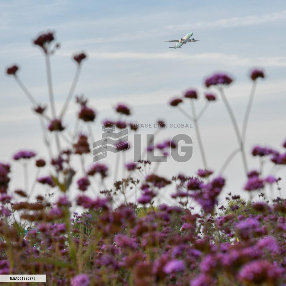 CHINA-GANSU-LANZHOU NEW AREA-DEVELOPMENT (CN)