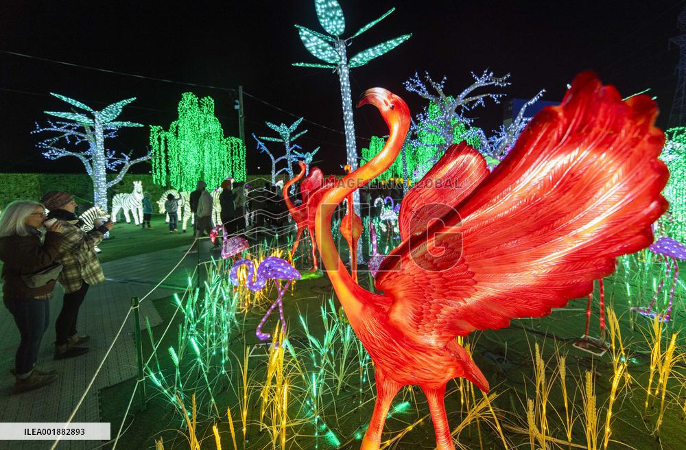 CANADA-MISSISSAUGA-LIGHTS SHOW