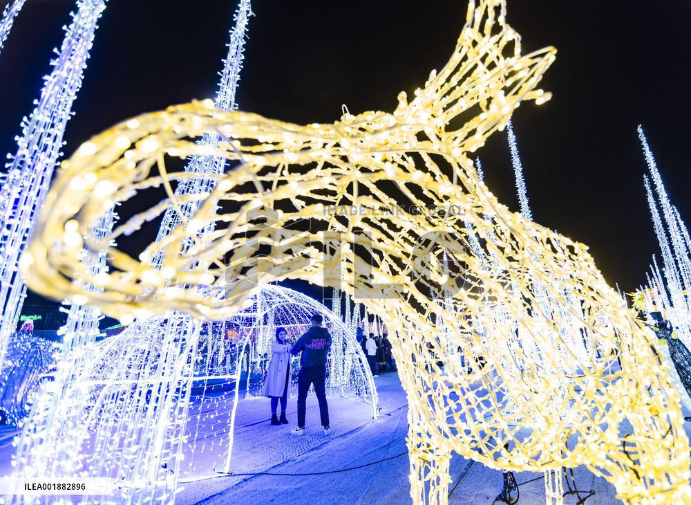 CANADA-MISSISSAUGA-LIGHTS SHOW