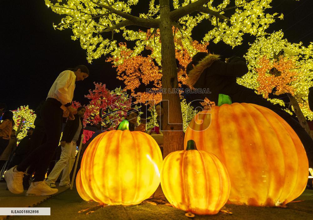 CANADA-MISSISSAUGA-LIGHTS SHOW