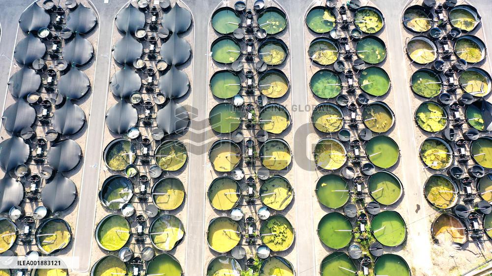 Land-based Recirculating Aquiculture Base in Qianxinan