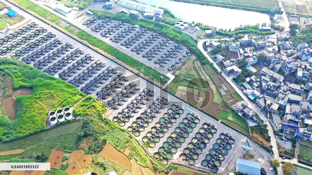 Land-based Recirculating Aquiculture Base in Qianxinan