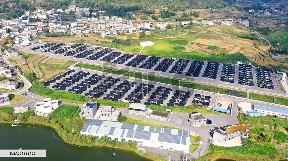 Land-based Recirculating Aquiculture Base in Qianxinan