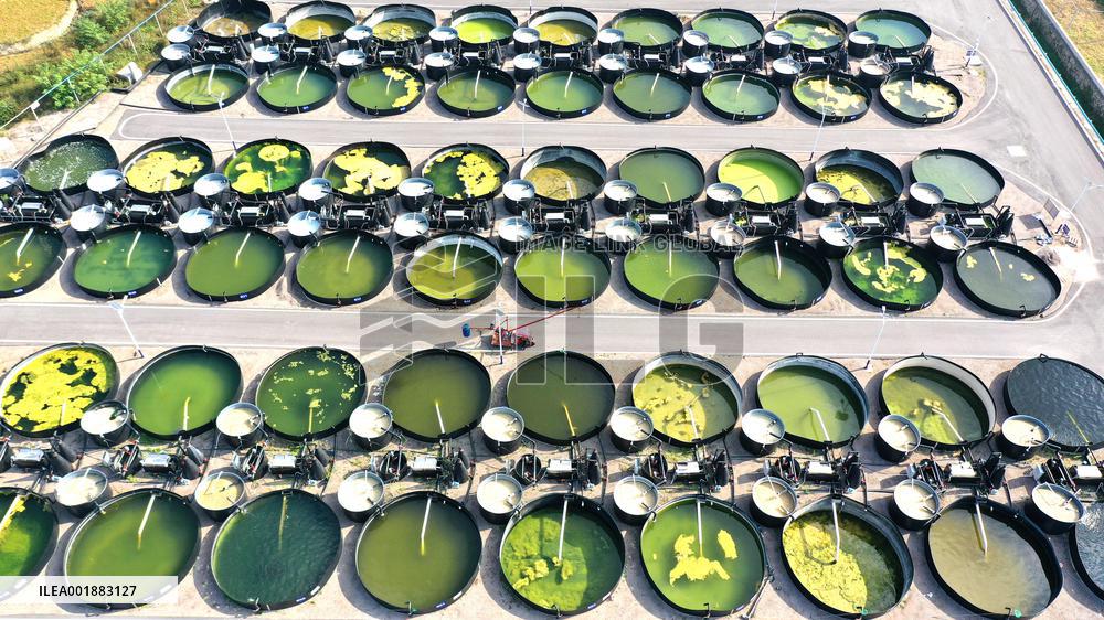 Land-based Recirculating Aquiculture Base in Qianxinan