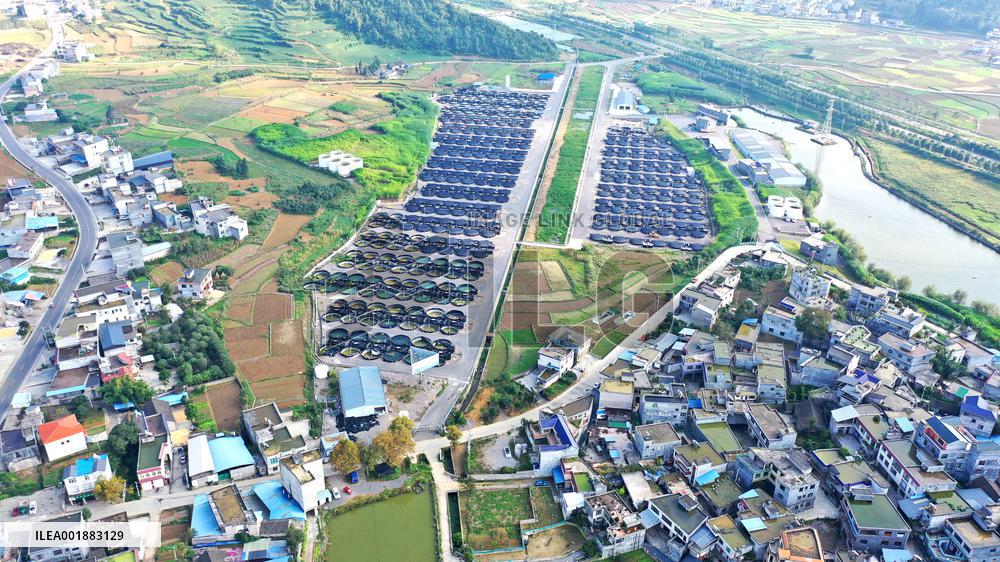 Land-based Recirculating Aquiculture Base in Qianxinan