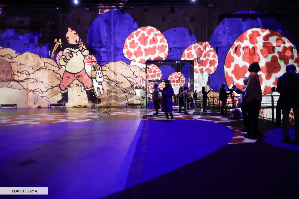 Tintin, The Immersive Adventure Exhibition - Bordeaux