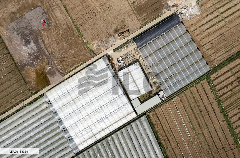 CHINA-YUNNAN-LIVESTREAMER-E-COMMERCE-SUCCULENT PLANTS (CN)