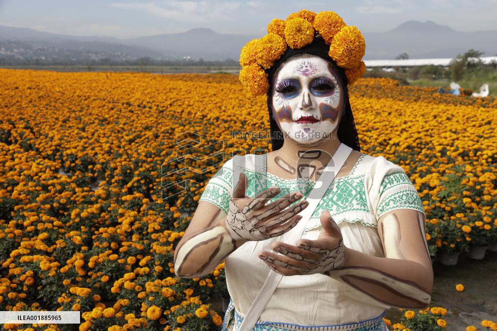 Cempasuchil Flower Sales Season Begins For The Day Of The Dead Festival - Mexico