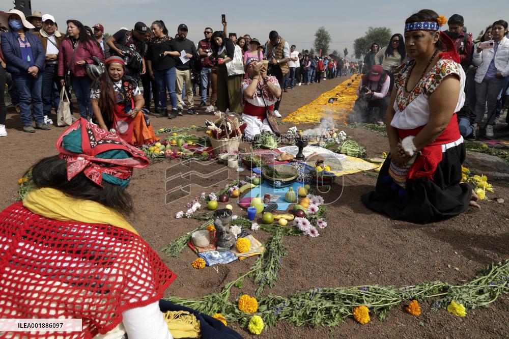 Cempasuchil Flower Sales Season Begins For The Day Of The Dead Festival - Mexico