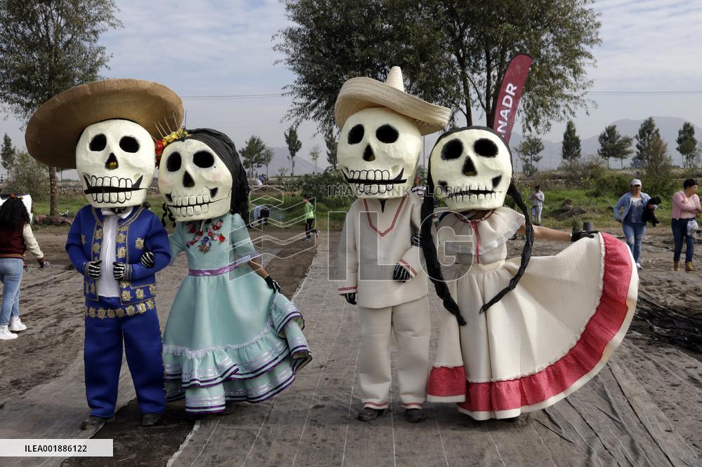 Cempasuchil Flower Sales Season Begins For The Day Of The Dead Festival - Mexico
