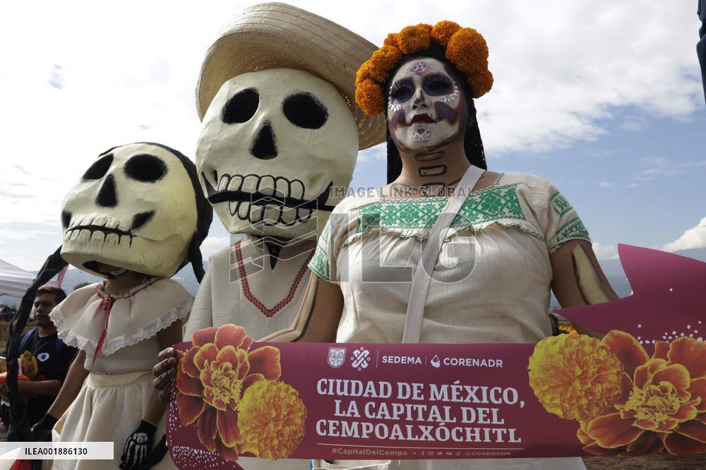 Cempasuchil Flower Sales Season Begins For The Day Of The Dead Festival - Mexico