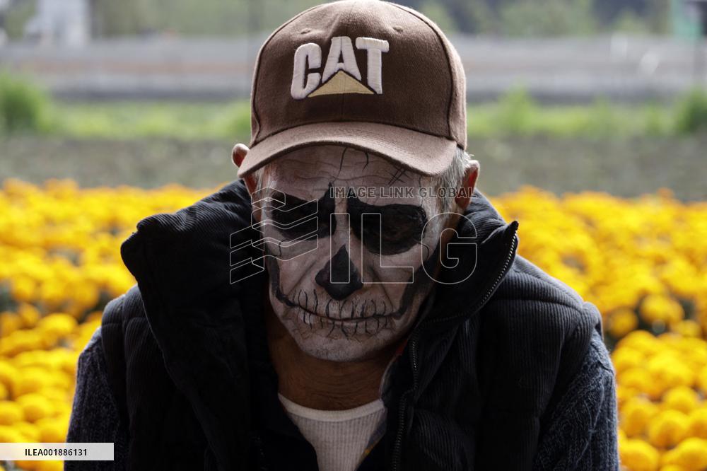 Cempasuchil Flower Sales Season Begins For The Day Of The Dead Festival - Mexico