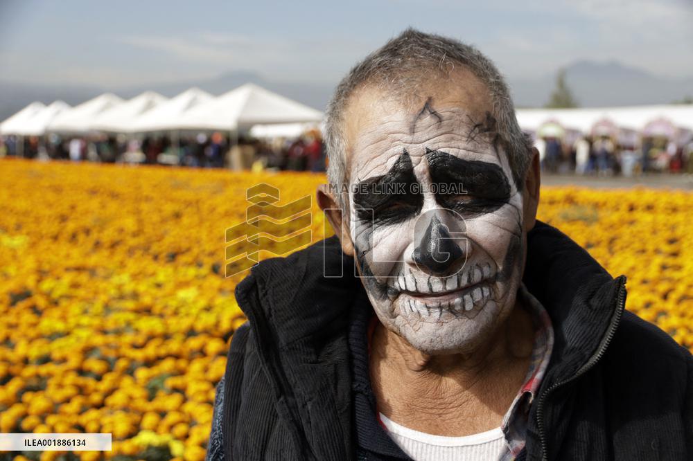 Cempasuchil Flower Sales Season Begins For The Day Of The Dead Festival - Mexico