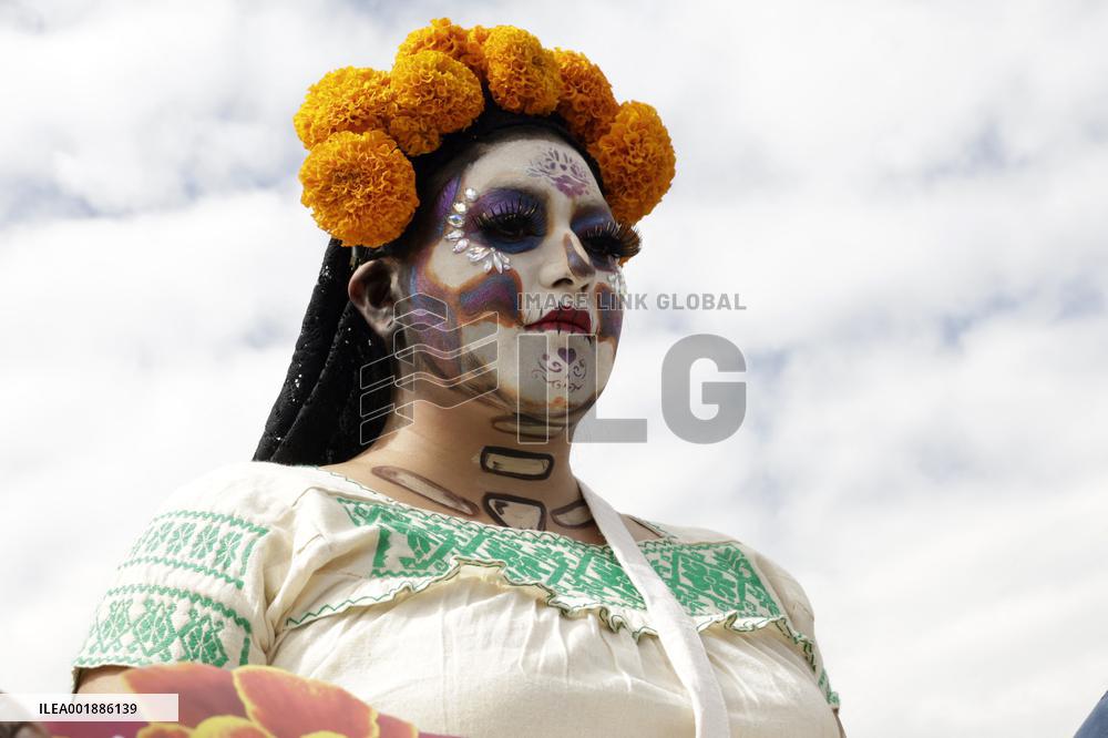 Cempasuchil Flower Sales Season Begins For The Day Of The Dead Festival - Mexico