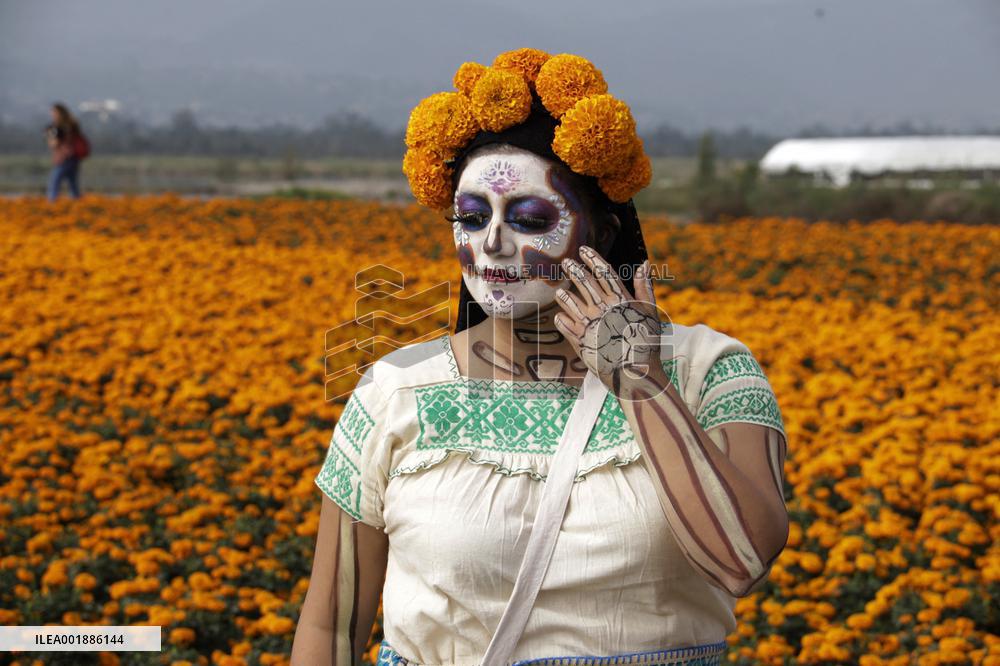 Cempasuchil Flower Sales Season Begins For The Day Of The Dead Festival - Mexico