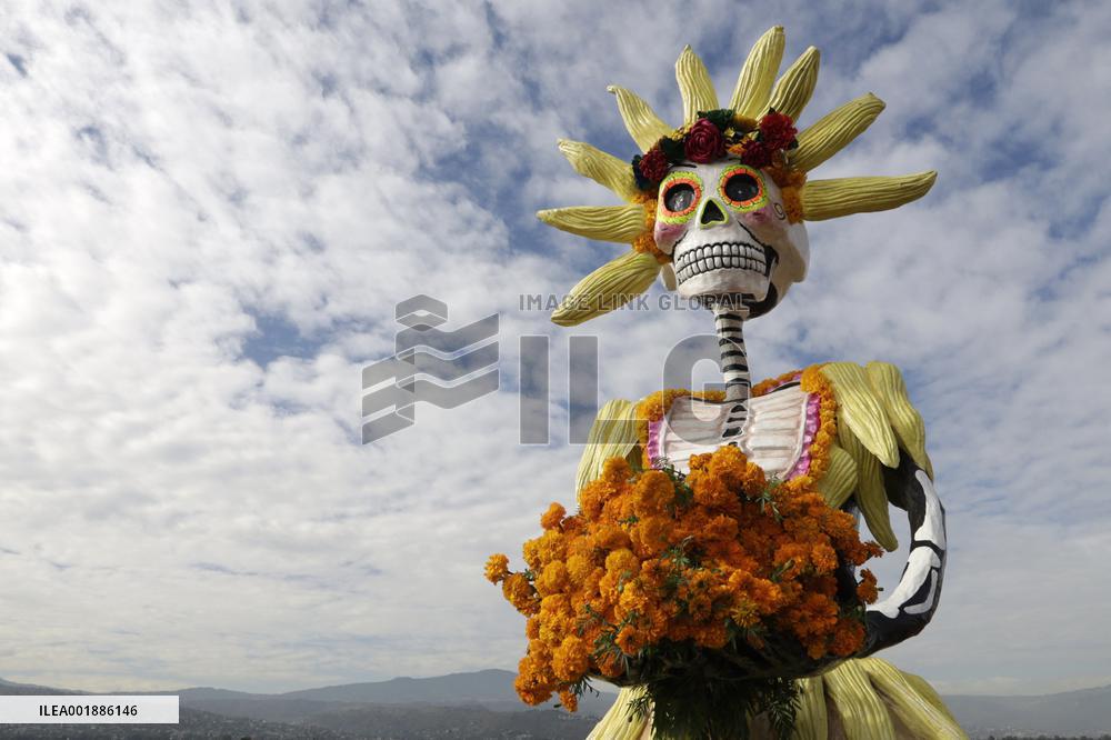 Cempasuchil Flower Sales Season Begins For The Day Of The Dead Festival - Mexico