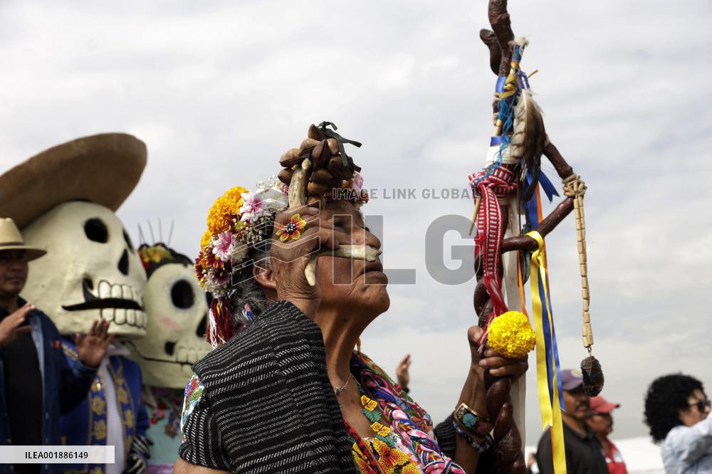 Cempasuchil Flower Sales Season Begins For The Day Of The Dead Festival - Mexico