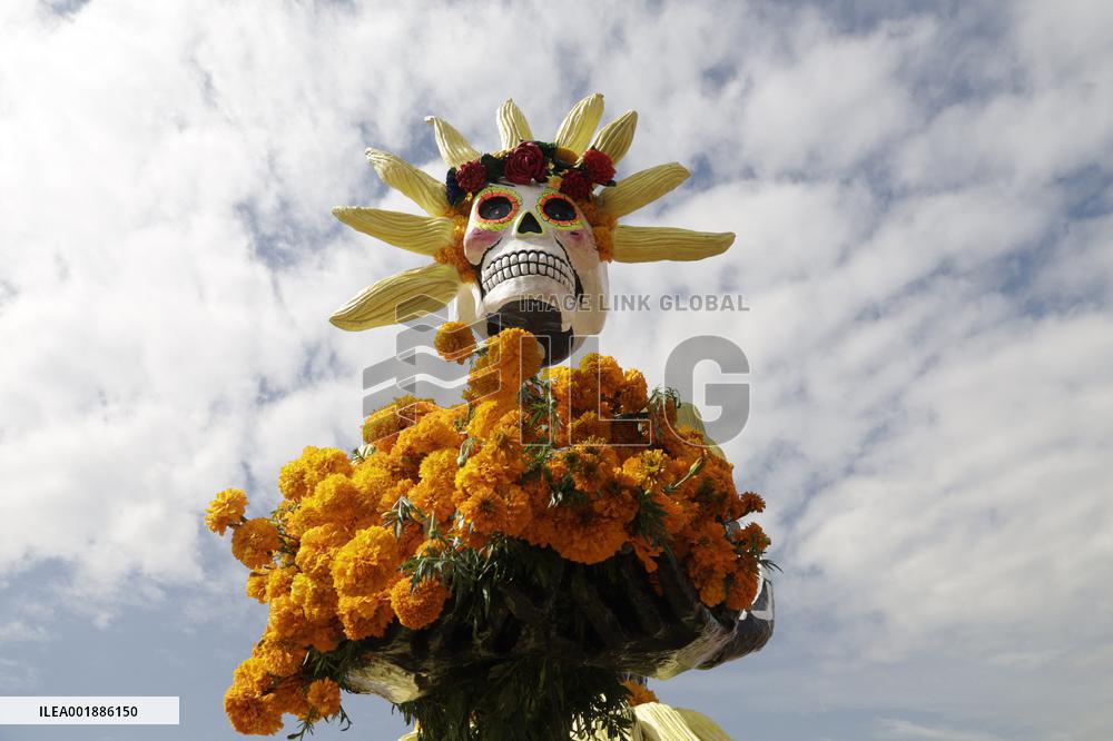 Cempasuchil Flower Sales Season Begins For The Day Of The Dead Festival - Mexico