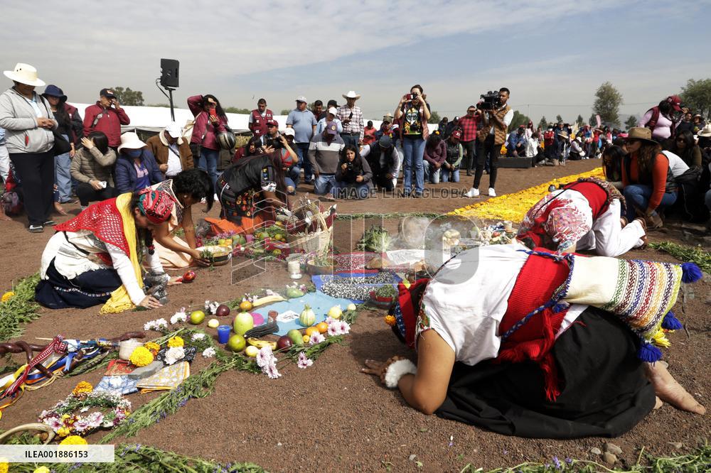Cempasuchil Flower Sales Season Begins For The Day Of The Dead Festival - Mexico