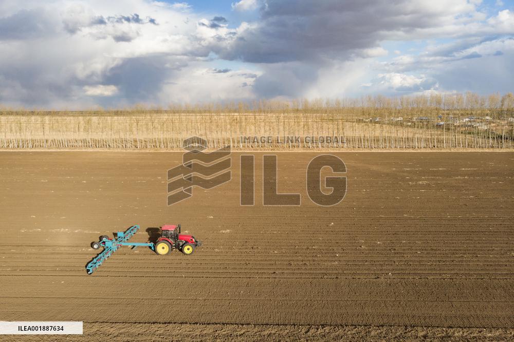 CHINA-HEILONGJIANG-AUTUMN-HARVEST (CN)