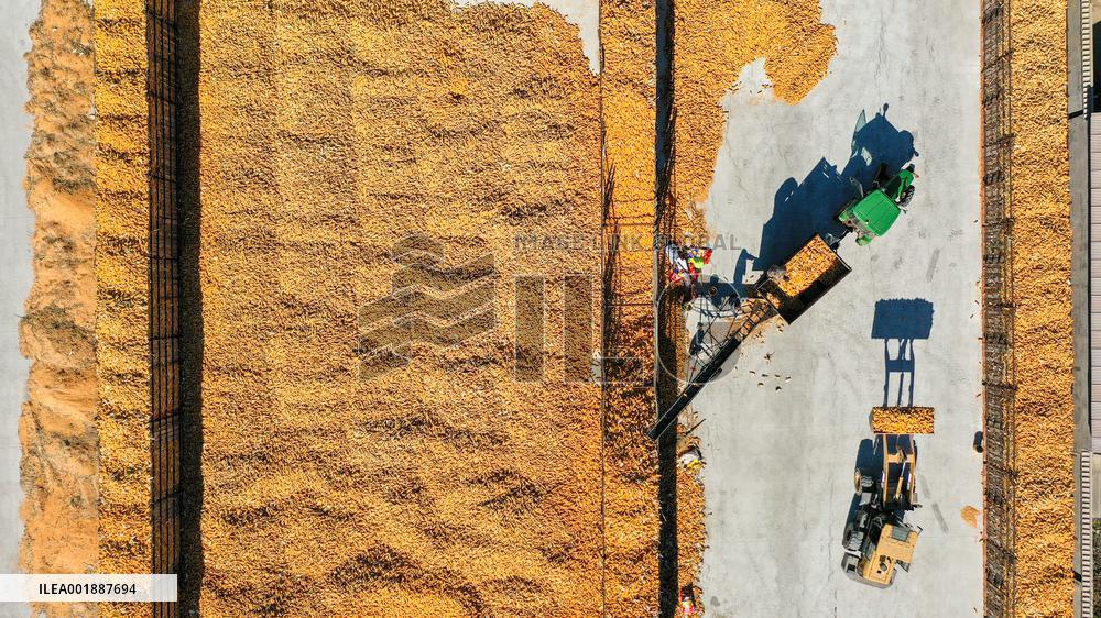 CHINA-JILIN-AUTUMN-HARVEST (CN)