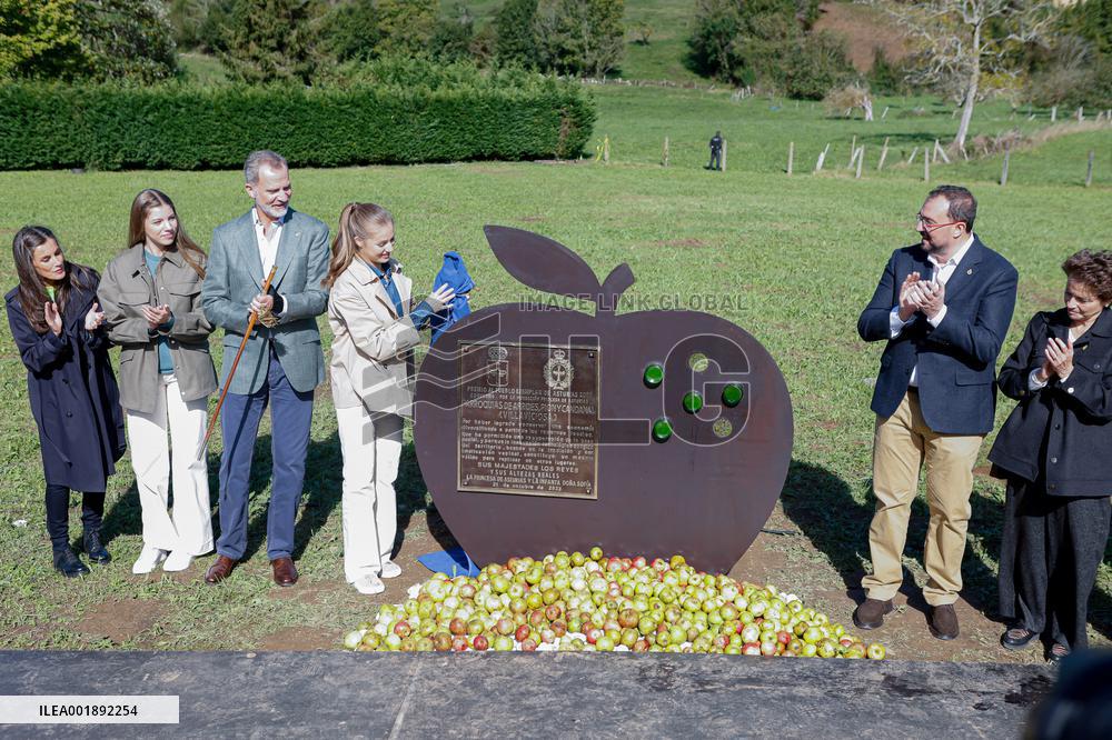 Spanish Royals Arrive In Arroes