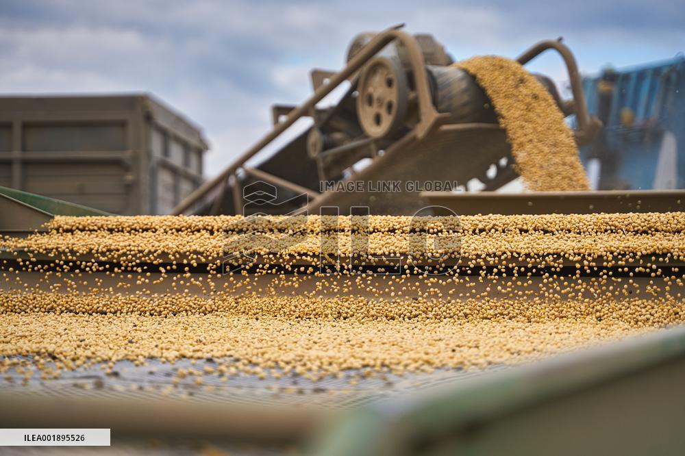 RUSSIA-USSURIYSK-HARVEST SEASON