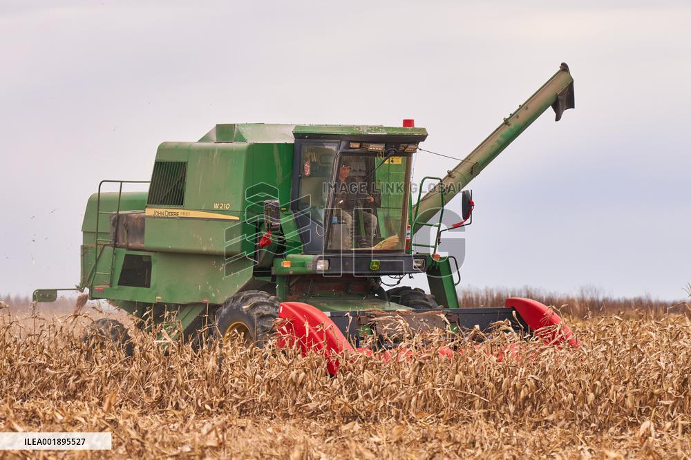 RUSSIA-USSURIYSK-HARVEST SEASON