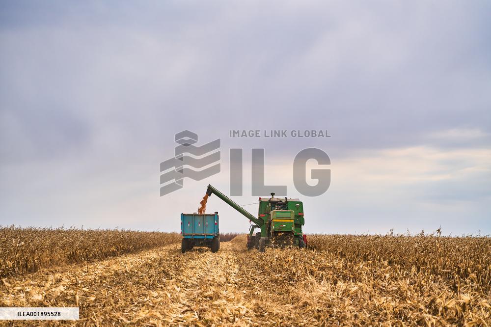 RUSSIA-USSURIYSK-HARVEST SEASON