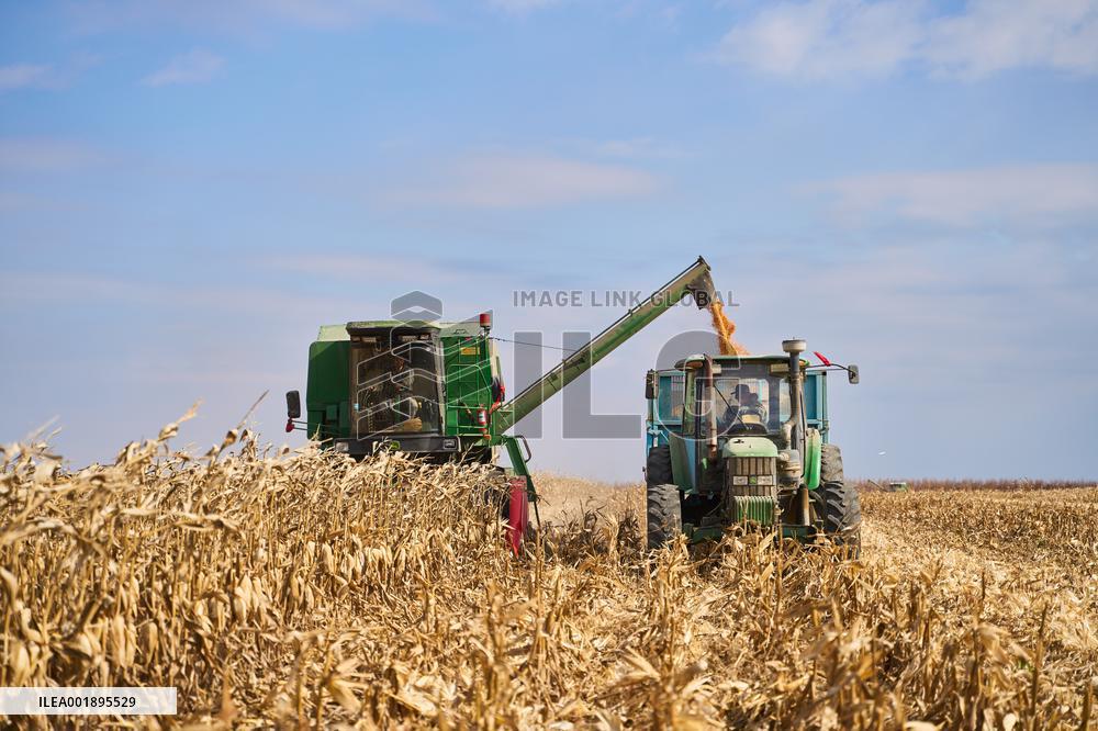 RUSSIA-USSURIYSK-HARVEST SEASON