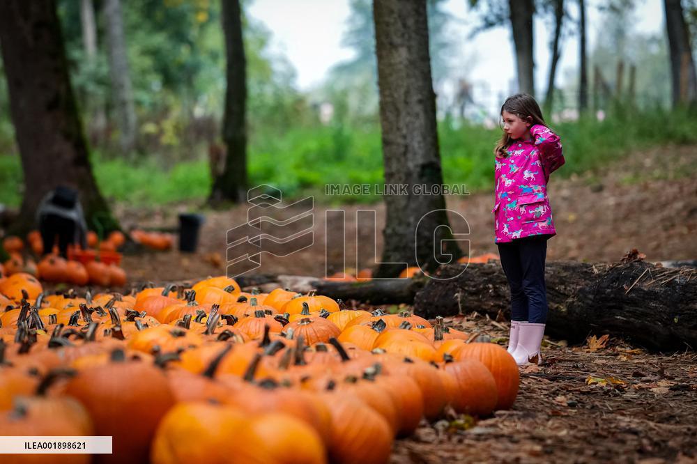 Pumpkin Patch - Canada