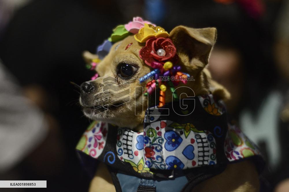 Caterinas Mega Parade - Mexico City