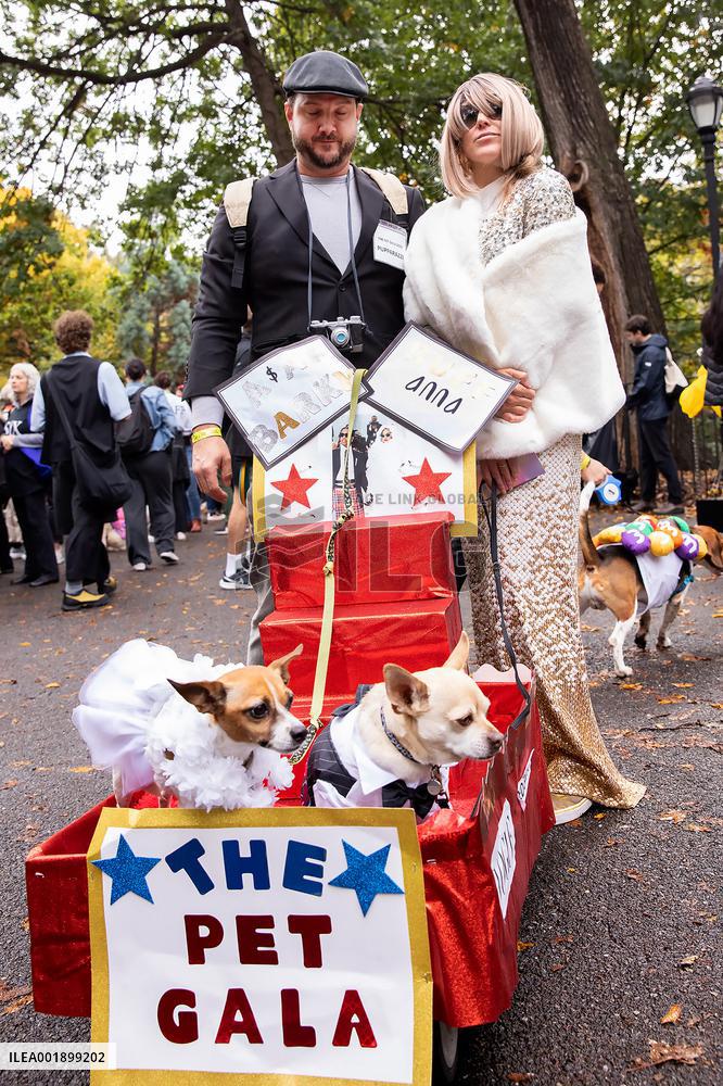 Halloween Dog Parade - NYC