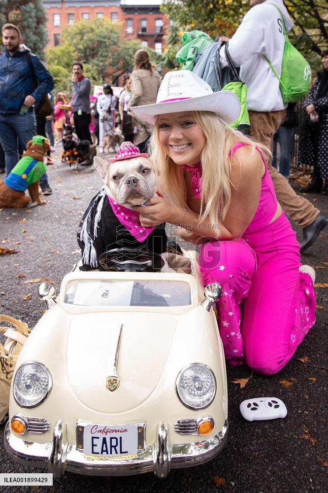 Halloween Dog Parade - NYC