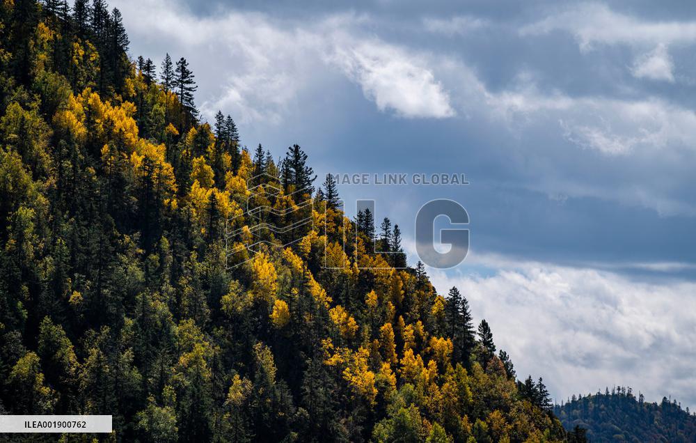 CHINA-TIBET-QAMDO-MANGKAM-MOUNTAIN-AUTUMN (CN)