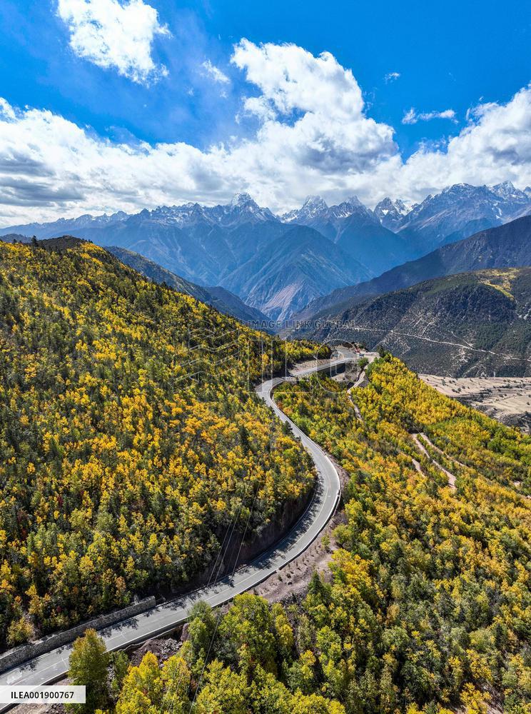 CHINA-TIBET-QAMDO-MANGKAM-MOUNTAIN-AUTUMN (CN)
