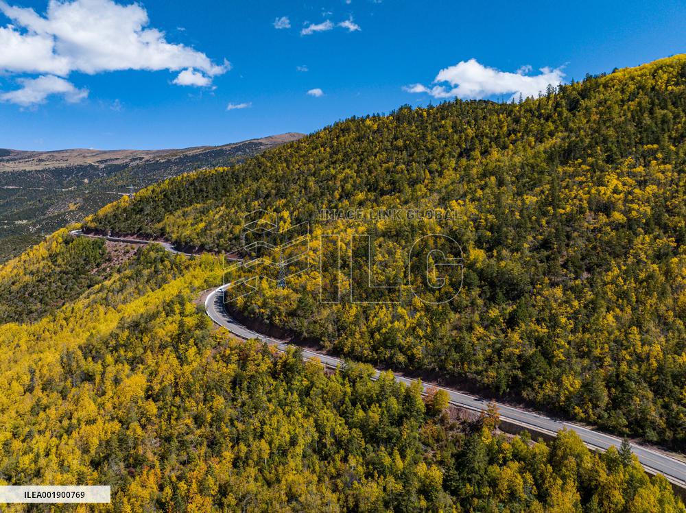 CHINA-TIBET-QAMDO-MANGKAM-MOUNTAIN-AUTUMN (CN)
