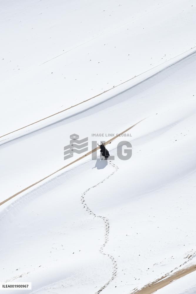 CHINA-XINJIANG-ALTUN MOUNTAINS-NATURE RESERVE-SCENERY (CN)