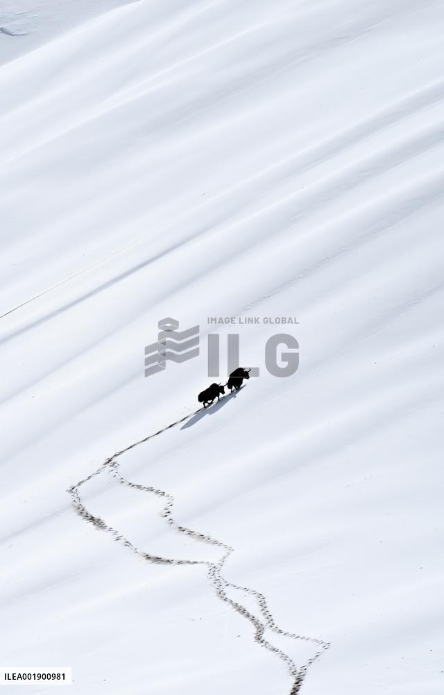 CHINA-XINJIANG-ALTUN MOUNTAINS-NATURE RESERVE-SCENERY (CN)