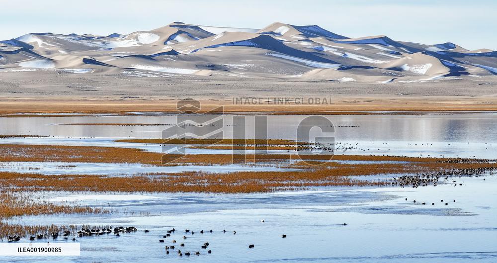 CHINA-XINJIANG-ALTUN MOUNTAINS-NATURE RESERVE-SCENERY (CN)