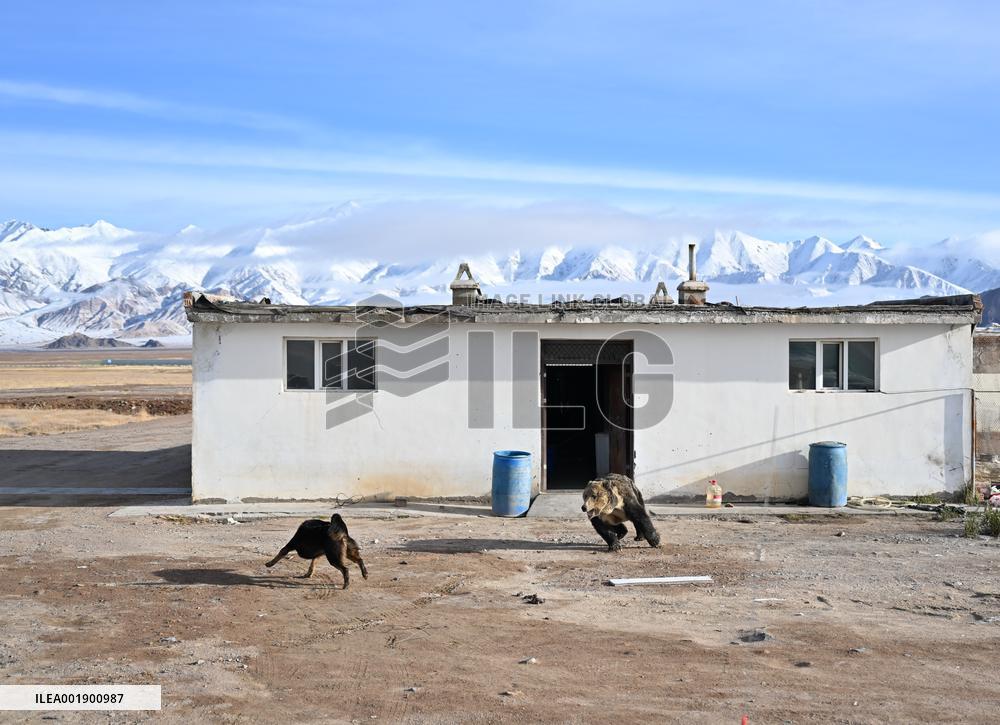 CHINA-XINJIANG-ALTUN MOUNTAINS-NATURE RESERVE-SCENERY (CN)