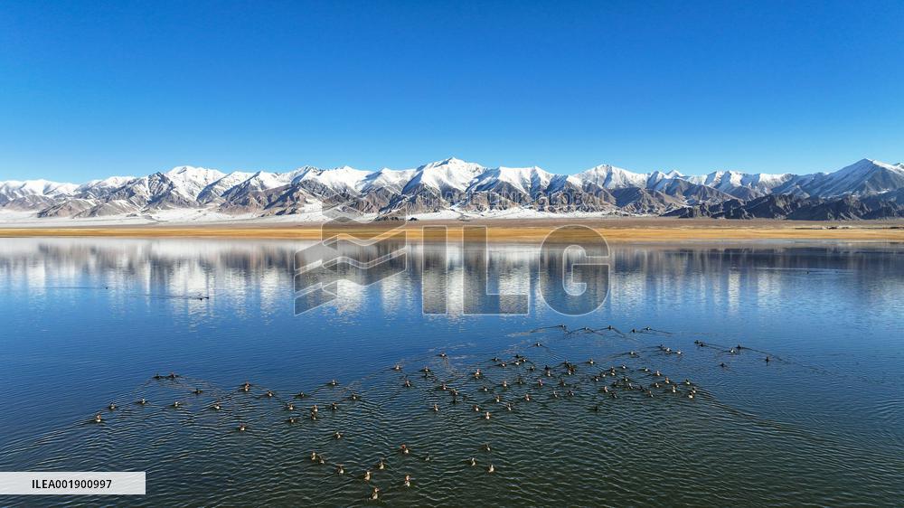 CHINA-XINJIANG-ALTUN MOUNTAINS-NATURE RESERVE-SCENERY (CN)