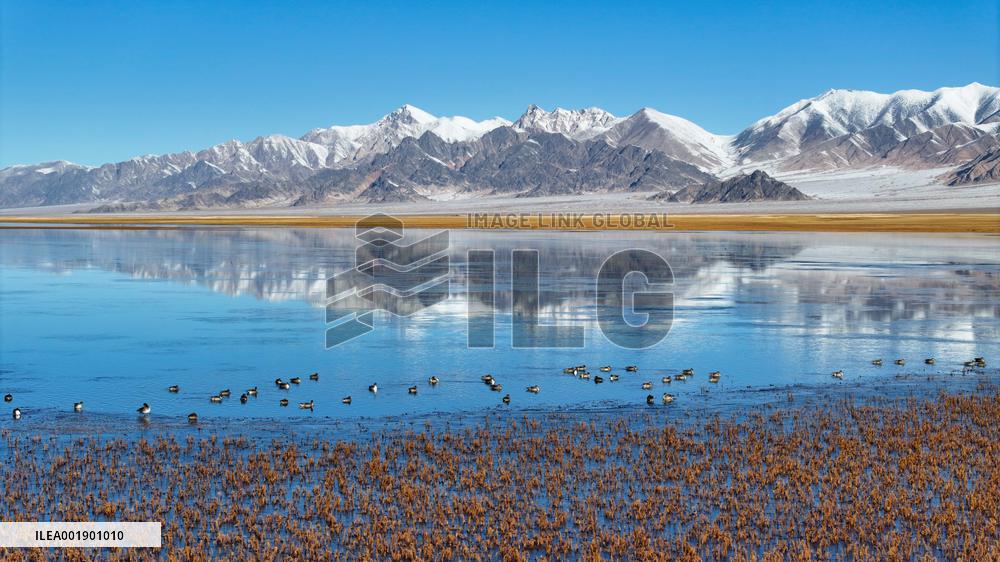 CHINA-XINJIANG-ALTUN MOUNTAINS-NATURE RESERVE-SCENERY (CN)