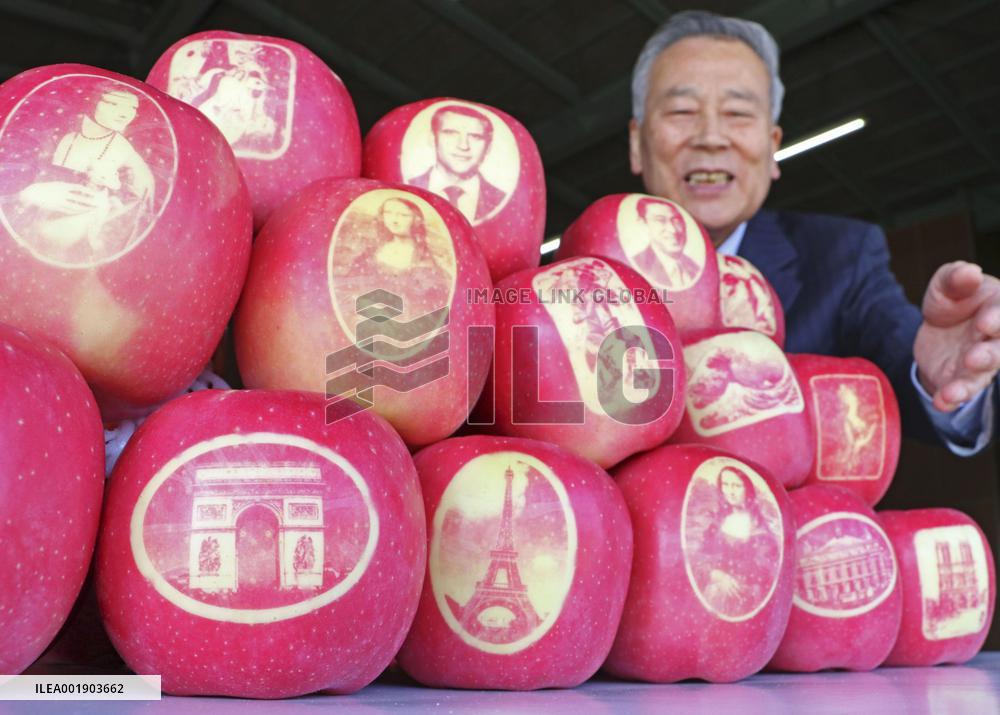 "Illustrated apples" in northeastern Japan