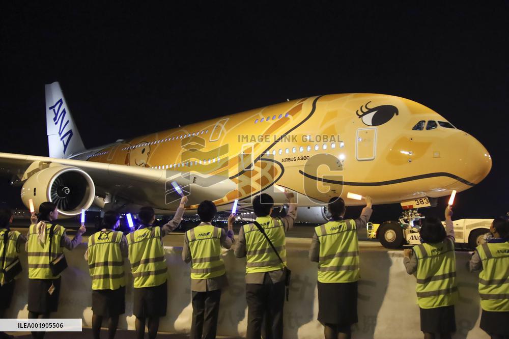 ANA's "Flying Honu" passenger jet