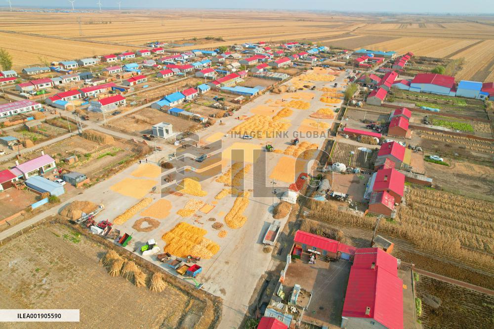 CHINA-HEILONGJIANG-AUTUMN HARVEST-DRONE PHOTO (CN)