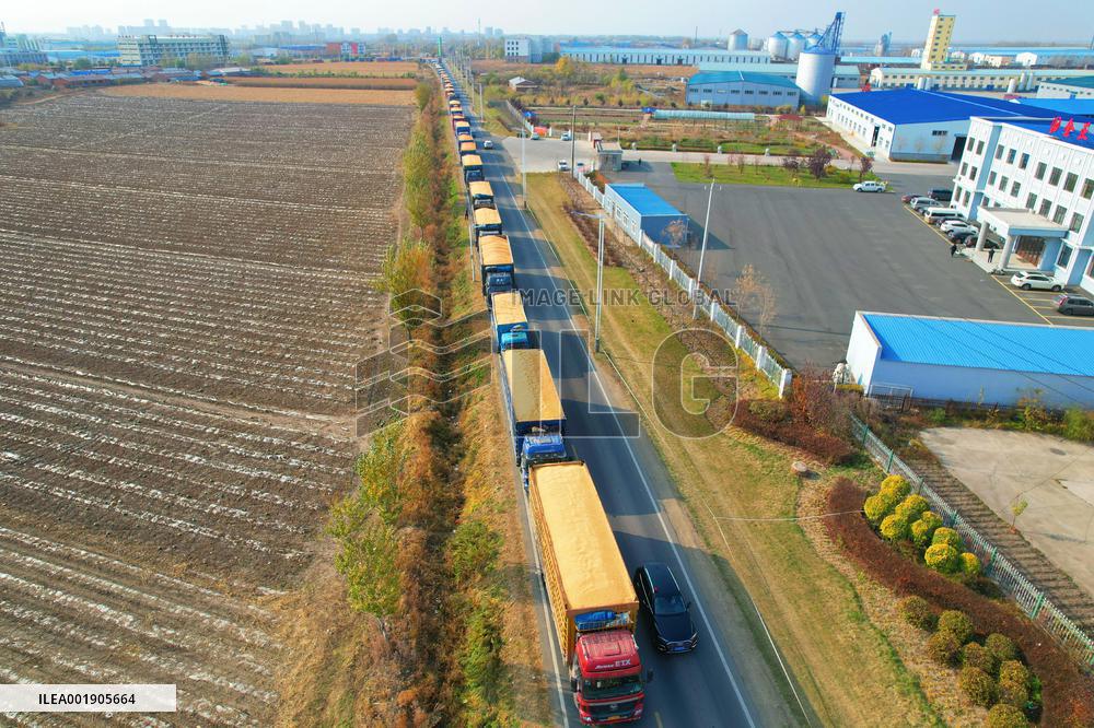 CHINA-HEILONGJIANG-AUTUMN HARVEST-DRONE PHOTO (CN)